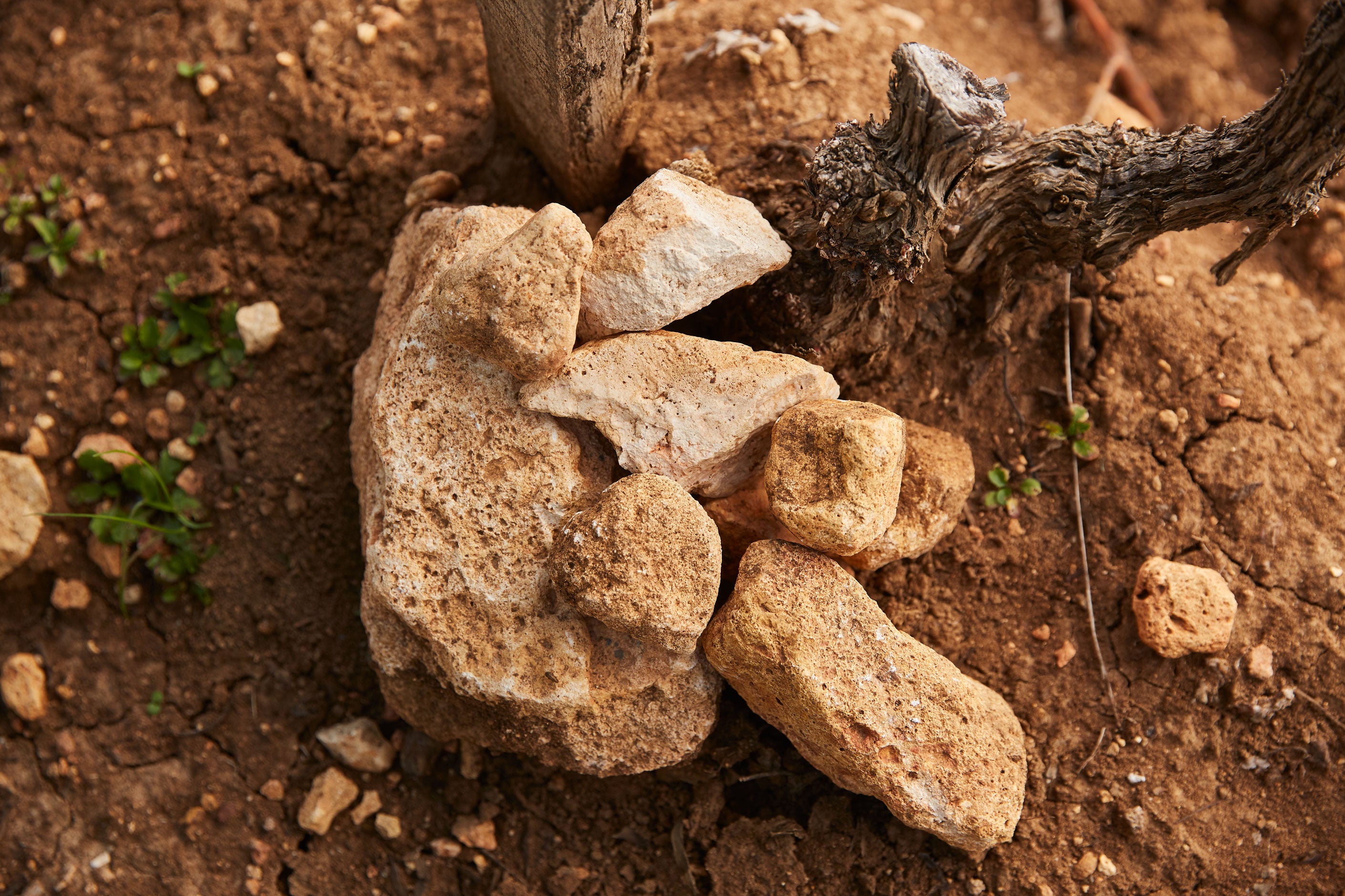 Rocks on soil - An Extraordinary Place Makes an Exceptional Wine