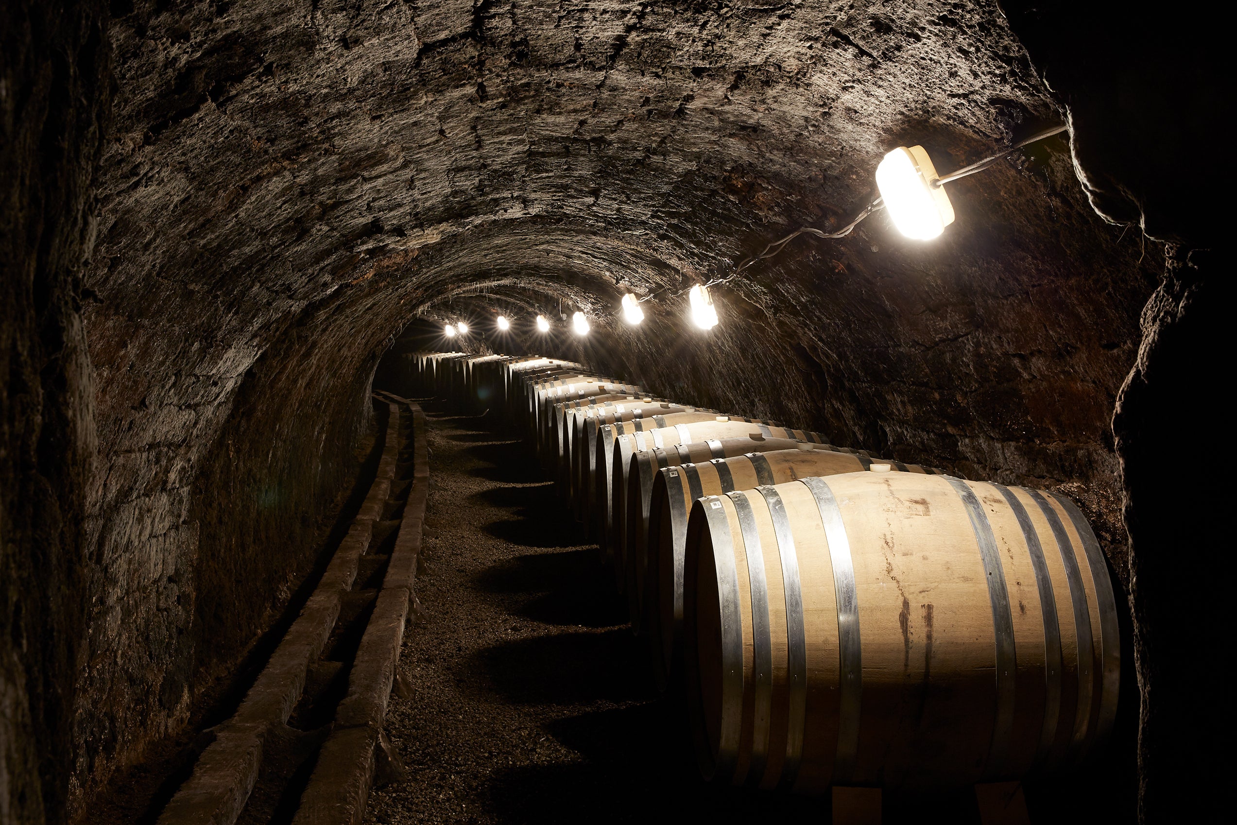 Oak barrels from the Northern Carpathian Mountains, Zemplén