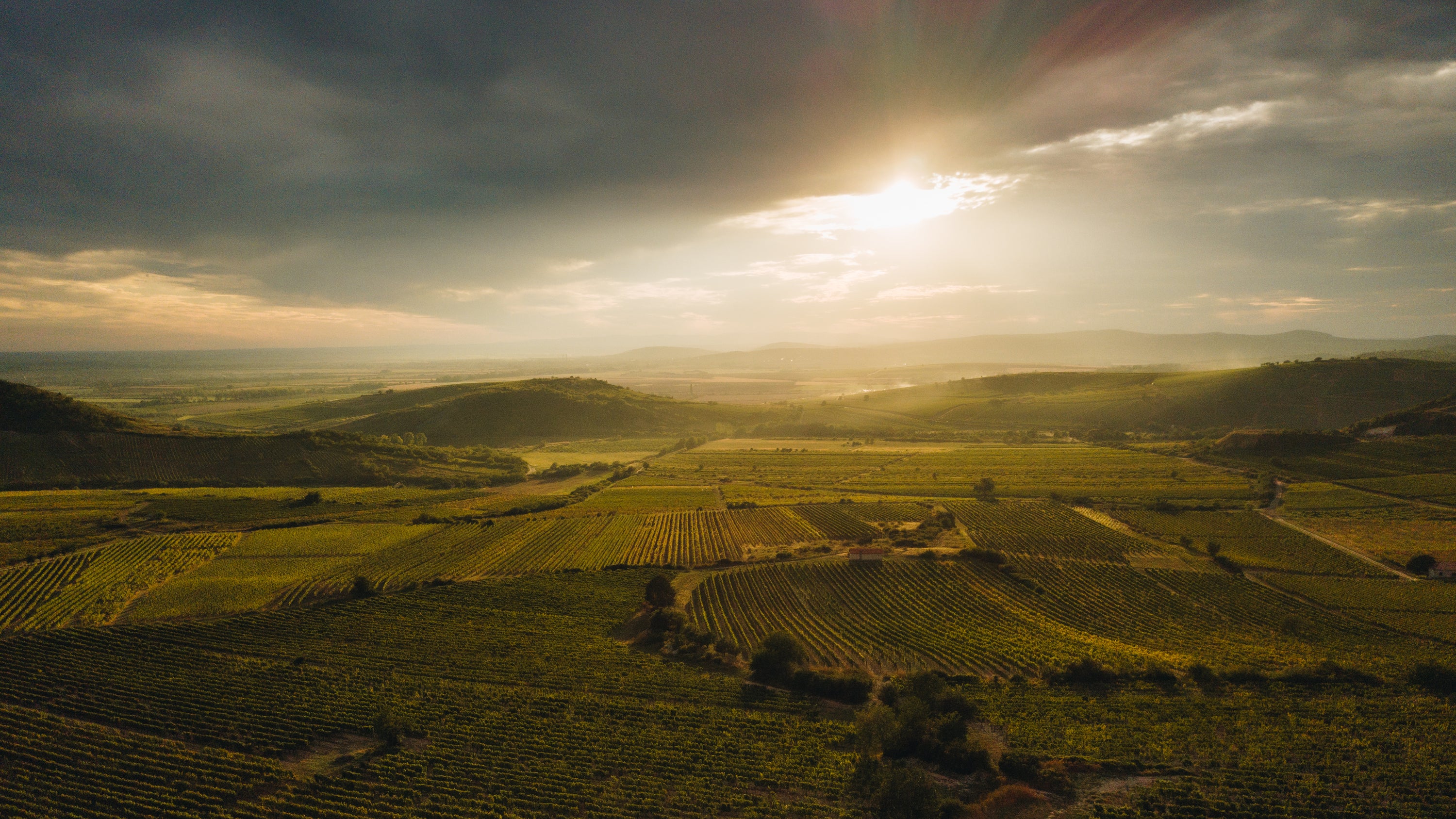 The Tokaji wine region in the Hungary