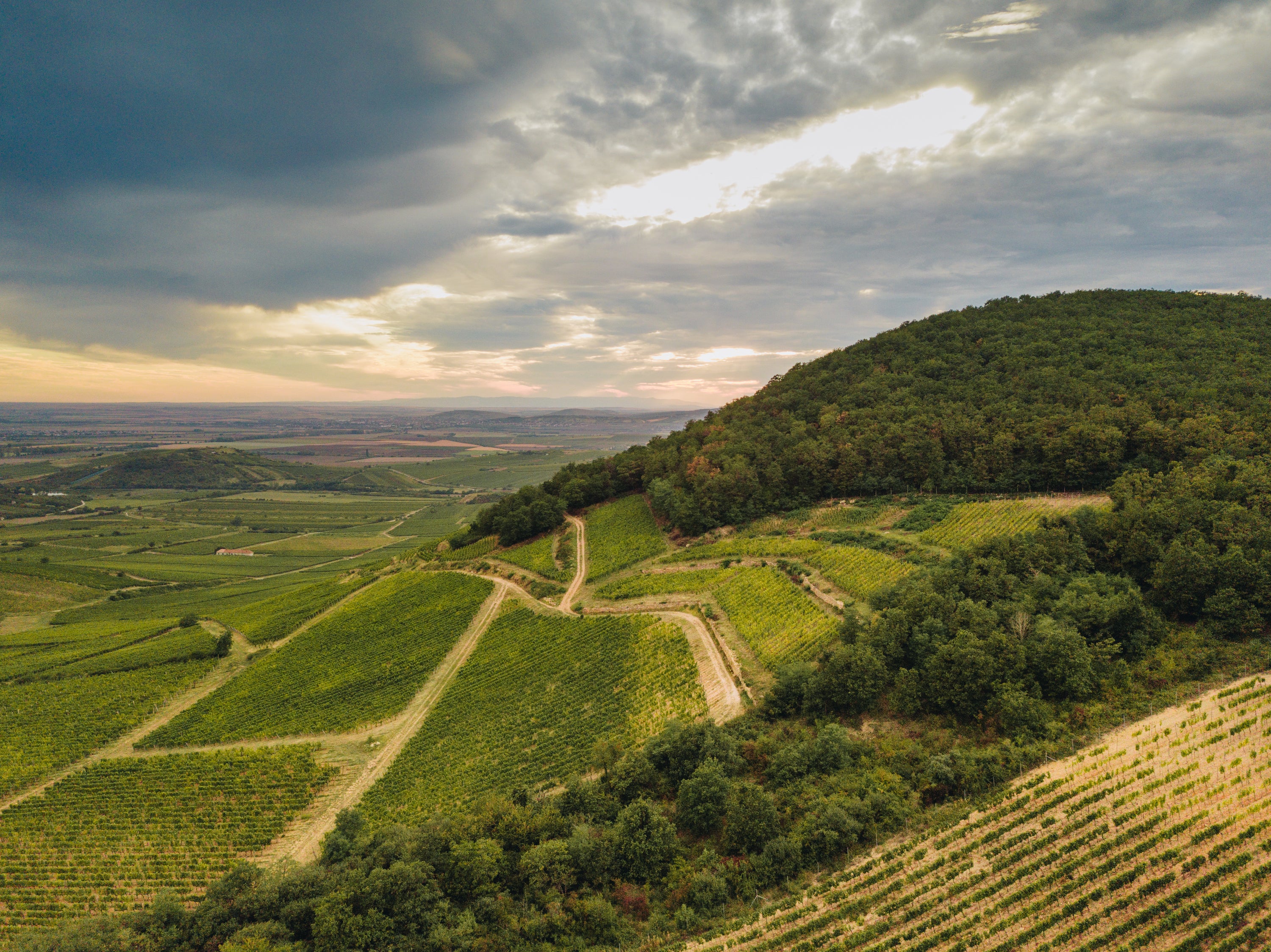 Mád one of the wine-growing regions